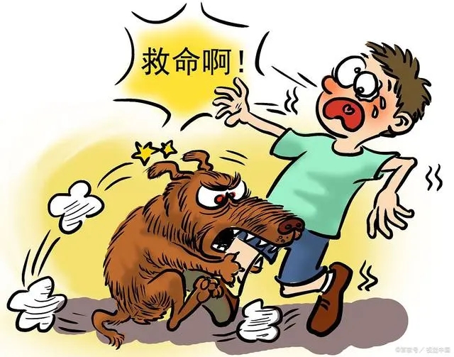 狂犬病潜伏期长达十几年?别信 内幕曝光简直太意外了