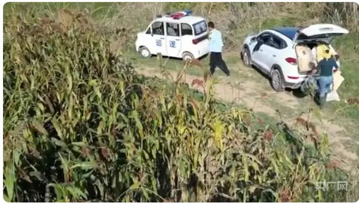 河南执法人员伙同村民偷红高粱被拘 背后真相实在让人惊愕