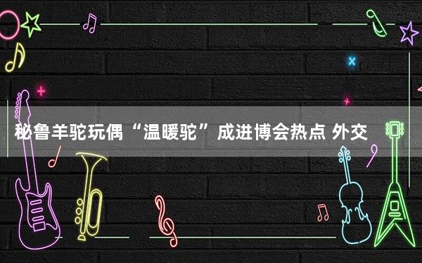 秘鲁羊驼玩偶“温暖驼”成进博会热点 外交部回应